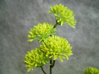 Floristenbedarf | künstliche Agon Einzelblumen